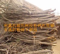 粉碎樹(shù)枝就用樹(shù)枝粉碎機